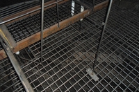 Фотогалерея на главной, фото №20